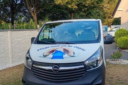 Opel Vivaro 218.000 km 6.999 &euro; Delbrück 33129