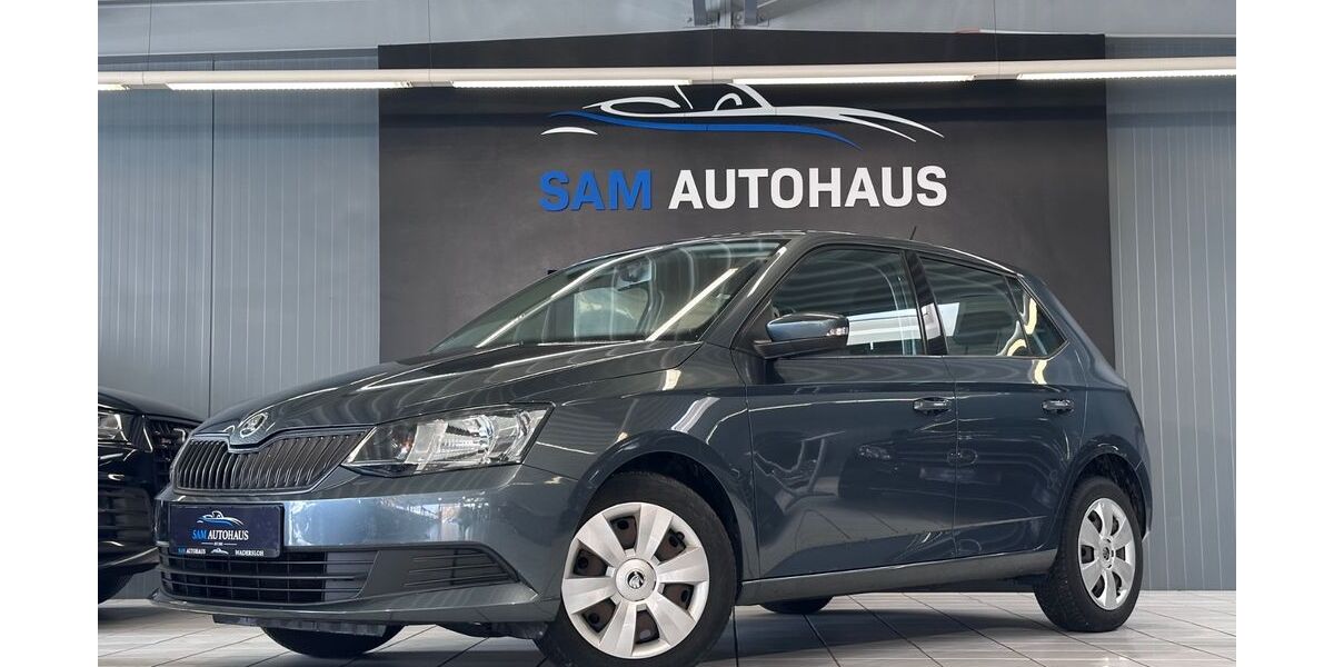 Skoda Fabia 134.000 km 6.900 &euro; Wadersloh 59329