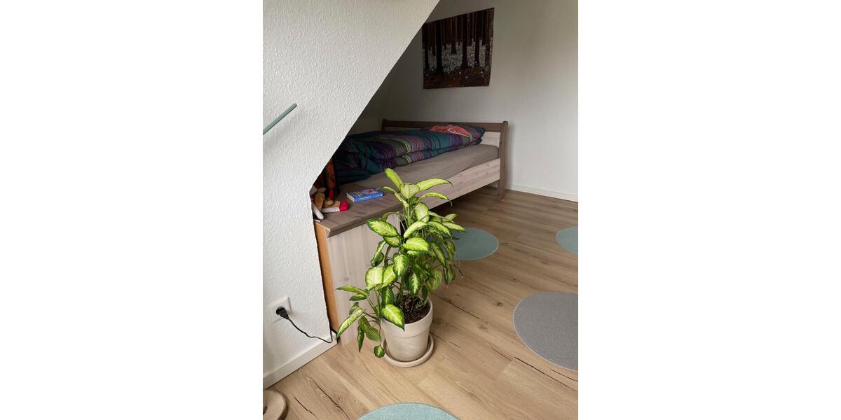 Etagenwohnung Paderborn Univiertel - 3 Zimmer, 75 m&sup2;, 700&euro; | Angebot:24742408