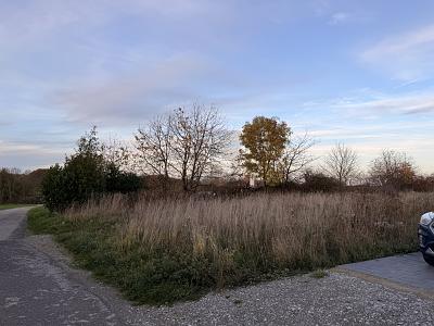 BAUEN MIT WEITBLICK  SELTENE TOP-HANGLAGE - Grundstück Langenberg | Angebot:25801429