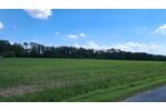 landwirtschaftliche Ackerfläche in Beckum zu verkaufen - Grundstück Beckum | Angebot:27178207