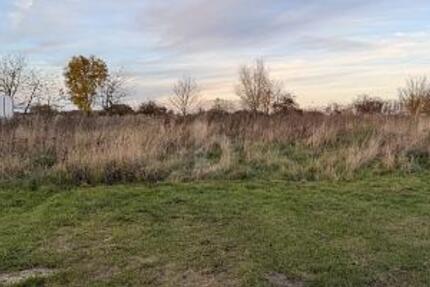 BAUEN MIT WEITBLICK  SELTENE TOP-HANGLAGE - Grundstück Langenberg | Angebot:25801429