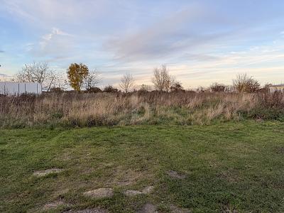 BAUEN MIT WEITBLICK  SELTENE TOP-HANGLAGE - Grundstück Langenberg | Angebot:25801429