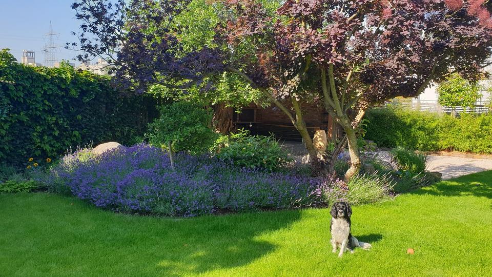 Villa Ennigerloh - 12 Zimmer, 320 m&sup2;, 780.000&euro; | Angebot:21642349