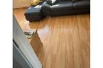 Dachgeschoßwohnung Ennigerloh - 3.5 Zimmer, 61 m&sup2;, 500&euro; | Angebot:26704152
