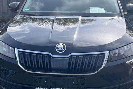 Skoda Karoq 136.400 km 16.900 &euro; Lippetal-Herzfeld 59510