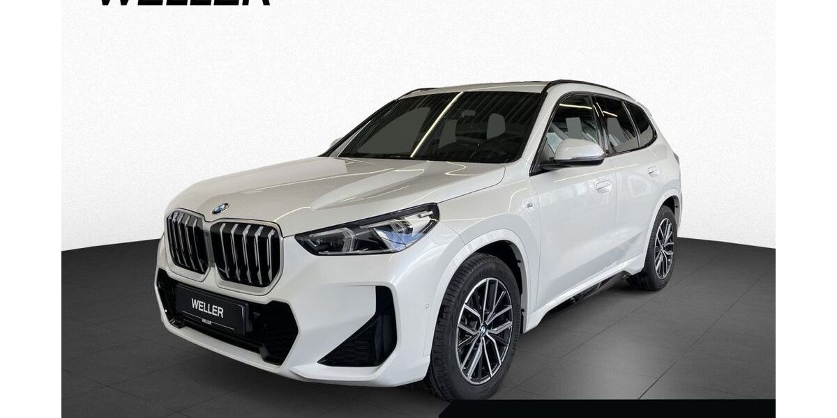 BMW X1 18.683 km 40.850 &euro; Paderborn 33104