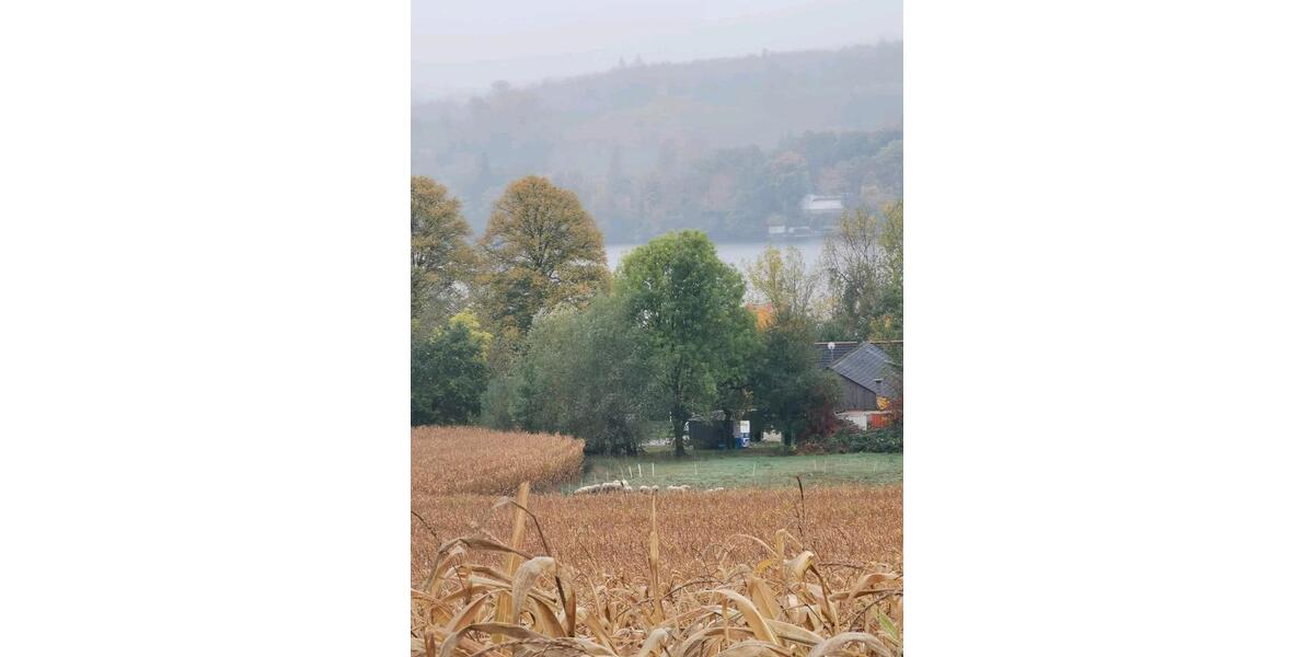 Einfamilienhaus Möhnesee - 5 Zimmer, 119 m&sup2;, 495.000&euro; | Angebot:25793018