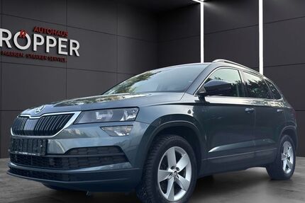 Skoda Karoq 92.500 km 18.990 &euro; Paderborn 33104