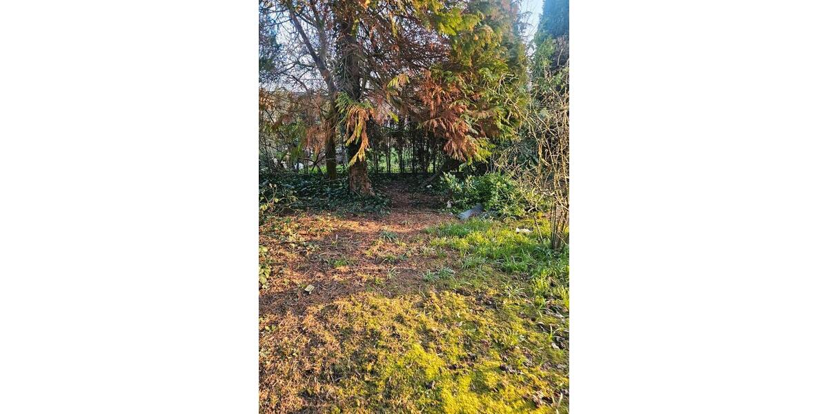 Einfamilienhaus Paderborn Elsen - 6 Zimmer, 100 m&sup2;, 465.999&euro; | Angebot:25758334