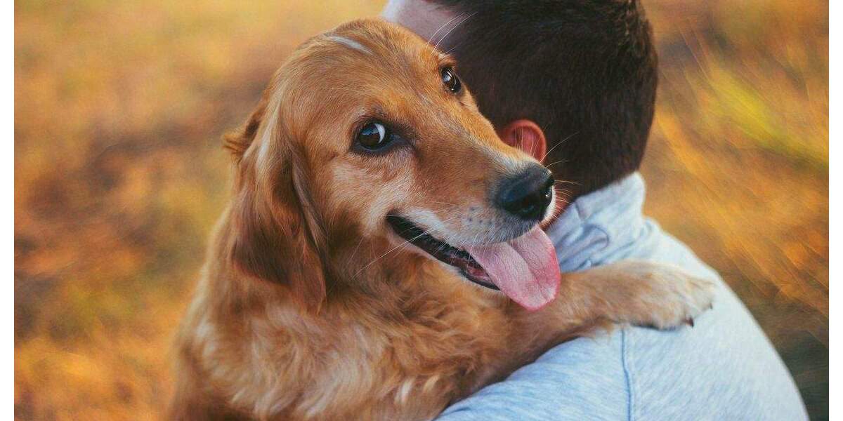 Bungalow Salzkotten - 3 Zimmer, 110 m&sup2;, 420.000&euro; | Angebot:25775523