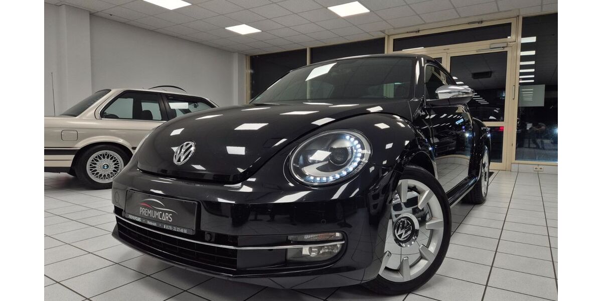 VW Beetle 310.000 km 7.900 &euro; Wadersloh 59329
