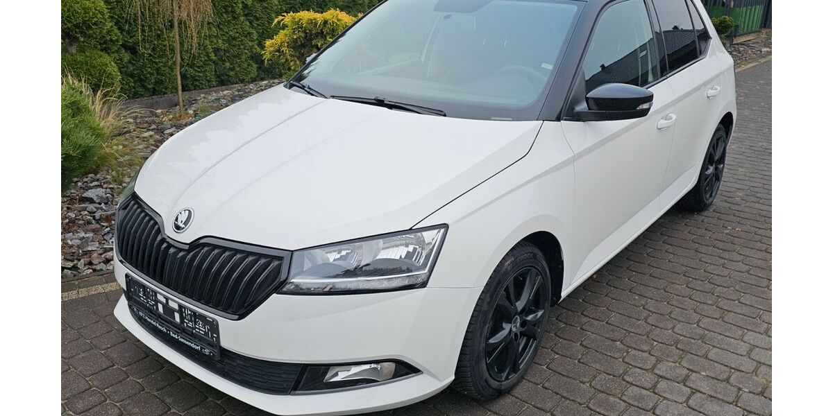 Skoda Fabia 38.100 km 12.460 &euro; Bad-Sassendorf 59505