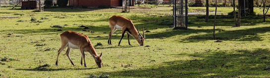 Freizeitpark Ketteler Hof Haltern am See Münsterland