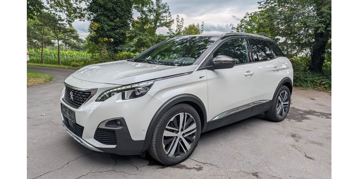 Peugeot 3008 188.500 km 12.890 &euro; Rietberg 33397