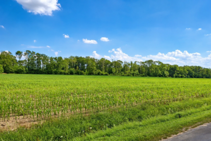 landwirtschaftliche Ackerfläche in Beckum zu verkaufen - Grundstück Beckum | Angebot:27178207