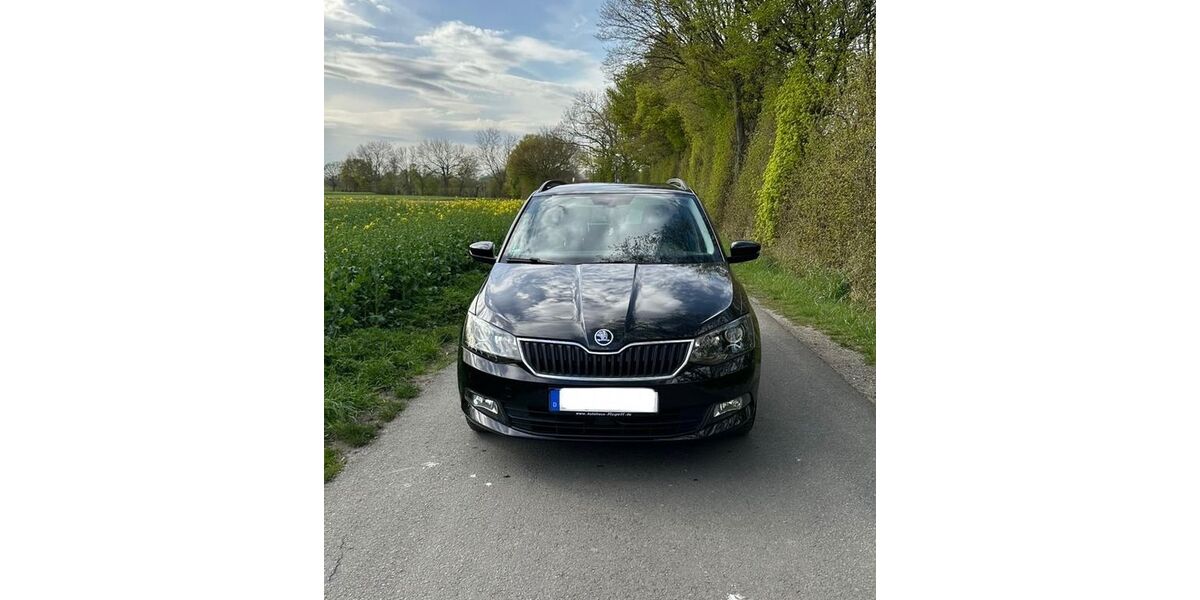 Skoda Fabia 98.000 km 10.750 &euro; Soest 59494