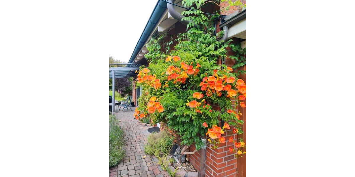 Einfamilienhaus Lippetal - 5 Zimmer, 186 m&sup2;, 495.000&euro; | Angebot:25852247