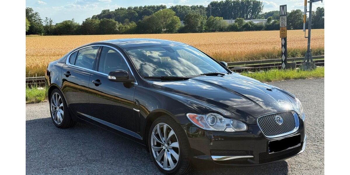 Jaguar XF 226.000 km 5.500 &euro; Lippstadt 59557
