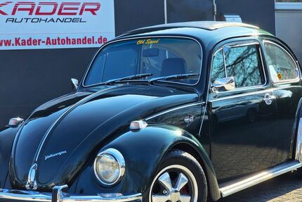 VW Käfer 99.600 km 14.990 &euro; Paderborn 33104