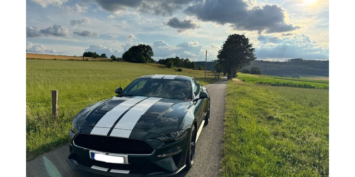 Ford Mustang 18.280 km 46.990 &euro; Warstein 59581