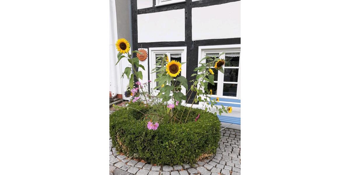 Reihenhaus Lippstadt - 3 Zimmer, 110 m&sup2;, 300.000&euro; | Angebot:24293961