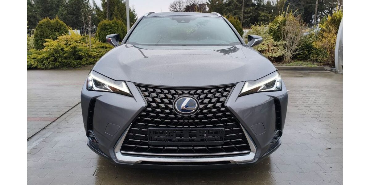 Lexus UX 93.680 km 22.800 &euro; Beckum 59269