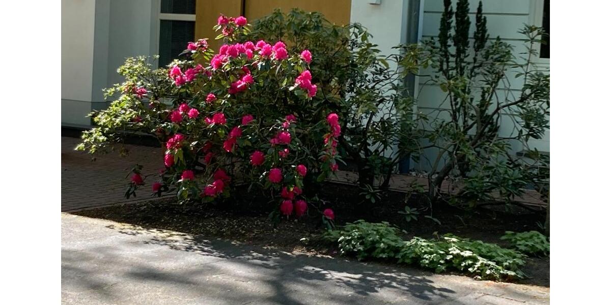 Villa Gütersloh Kattenstroth - 8 Zimmer, 325 m&sup2;, 1.200.000&euro; | Angebot:26262888