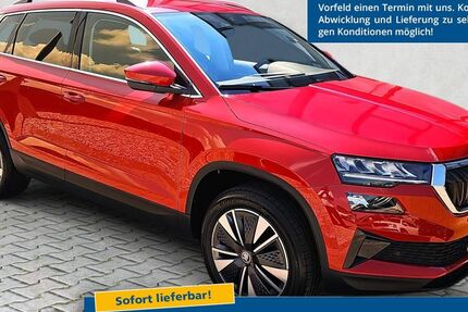 Skoda Karoq 13.720 km 25.990 &euro; Warstein-Belecke 59581