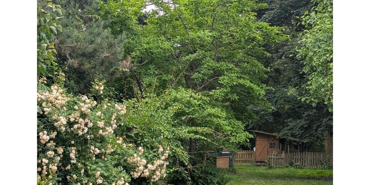 Bauernhaus, Landhaus Salzkotten - 695.000&euro; | Angebot:23214723