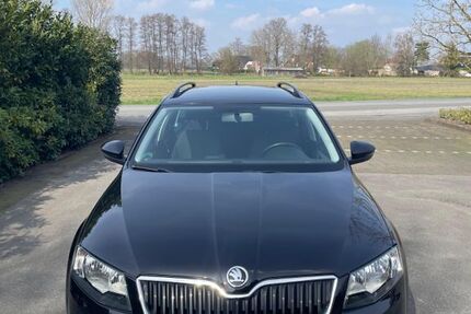 Skoda Octavia 155.000 km 8.000 &euro; Verl 33415