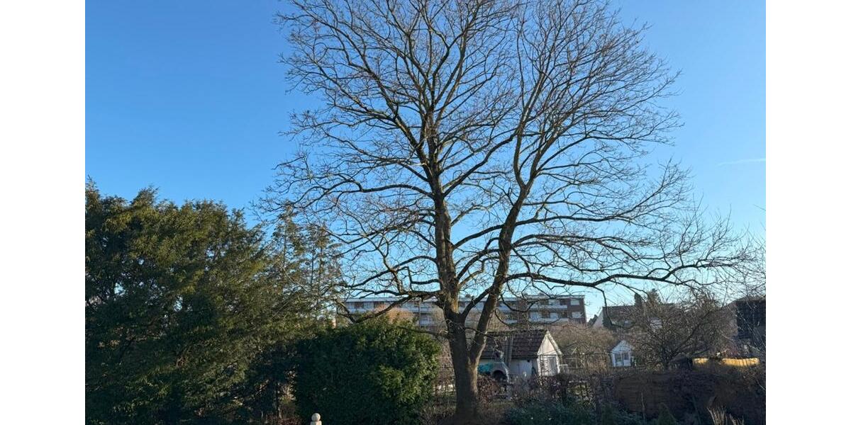 Einfamilienhaus Beckum - 3 Zimmer, 170 m&sup2;, 395.000&euro; | Angebot:25159385