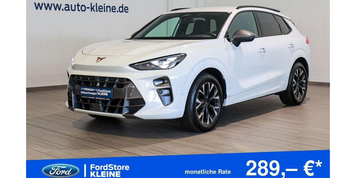 Cupra Terramar 44.692 km 32.990 &euro; Paderborn 33102