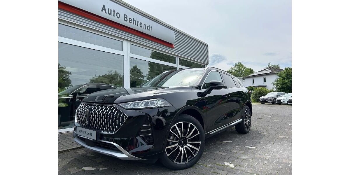 GWM Wey 05 14.990 km 37.950 &euro; Soest 59494