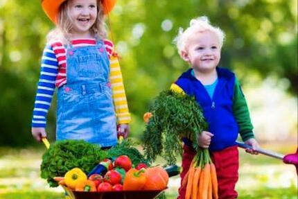 Wohnung Rheda-Wiedenbrück Wiedenbrück - 8 Zimmer, 180 m&sup2;, 1.480&euro; | Angebot:25173110