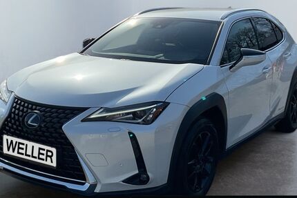 Lexus UX 67.608 km 24.250 &euro; Gütersloh 33330