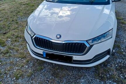 Skoda Octavia 91.000 km 17.890 &euro; Bad Wünnenberg 33181