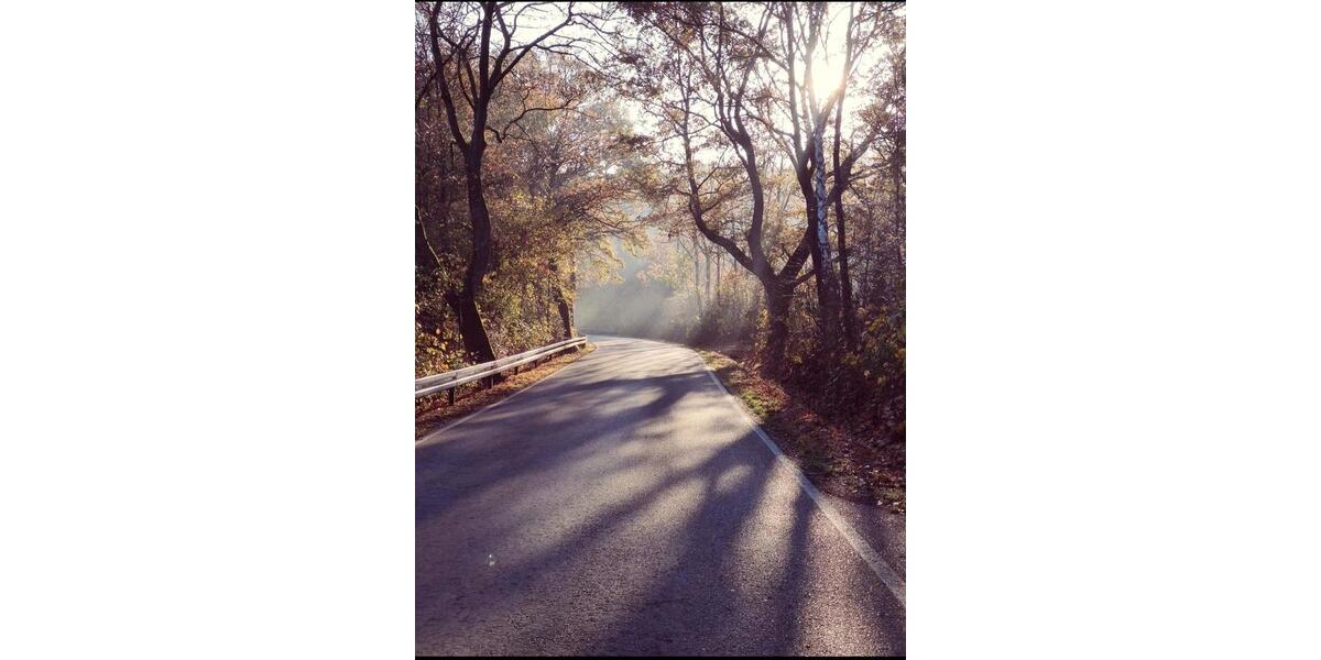 Einfamilienhaus Möhnesee - 5 Zimmer, 119 m&sup2;, 495.000&euro; | Angebot:25793018