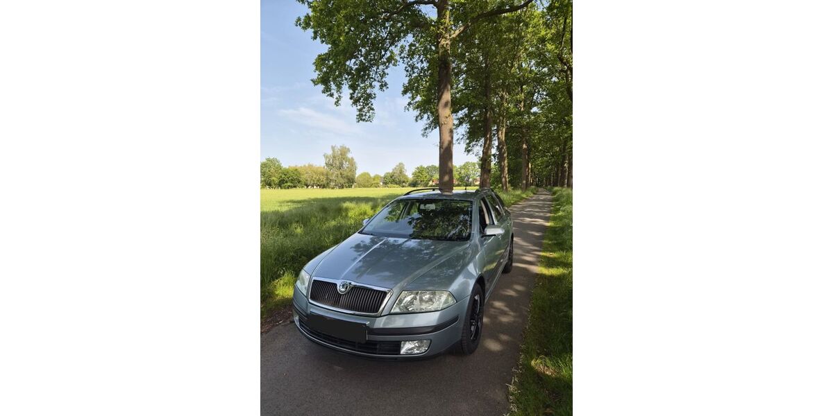 Skoda Octavia 249.284 km 1.950 &euro; Lippstadt 59558