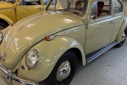 VW Käfer 43.000 km 21.950 &euro; Gütersloh 33335