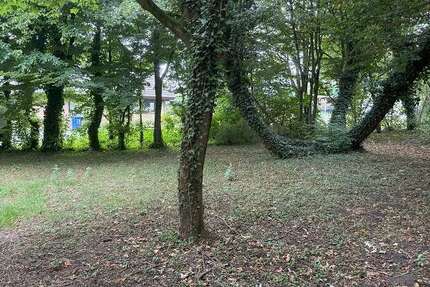 Grundstück Delbrück - 249.000&euro; | Angebot:24217420