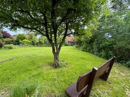 Erdgeschoßwohnung Ennigerloh - 2 Zimmer, 65 m&sup2;, 790&euro; | Angebot:26656169