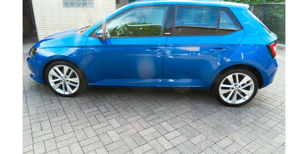 Skoda Fabia 100.400 km 11.200 &euro; Erwitte 59597