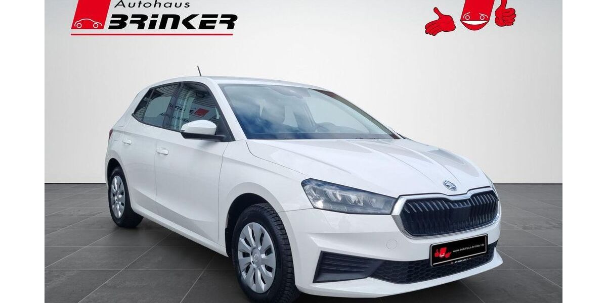 Skoda Fabia 39.294 km 11.930 &euro; Gütersloh 33334