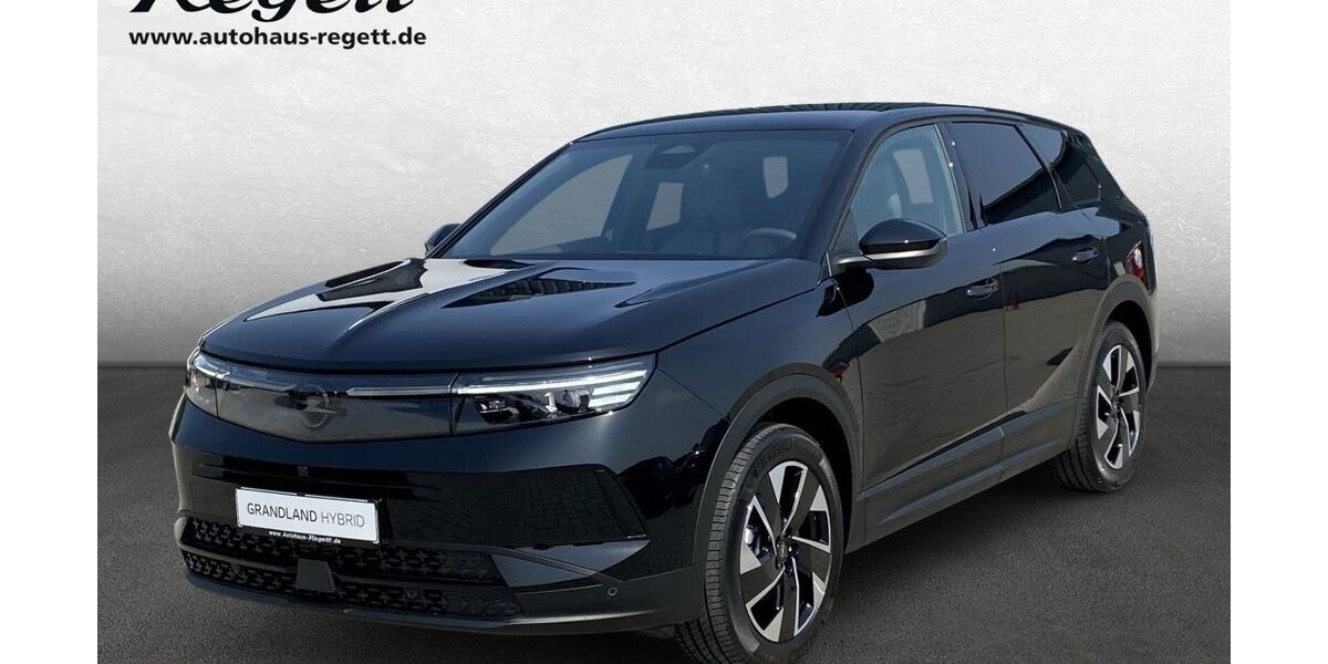 Opel Grandland (X) 1.900 km 34.990 &euro; Soest 59494