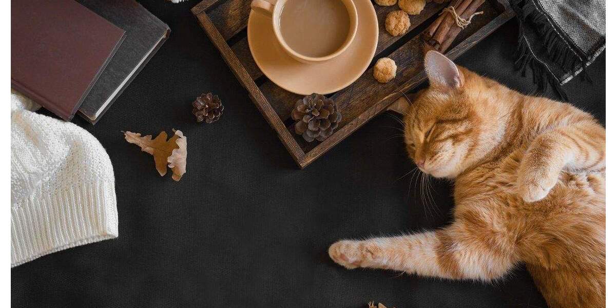 Einfamilienhaus Büren Steinhausen - 5 Zimmer, 130 m&sup2;, 315.000&euro; | Angebot:25741780