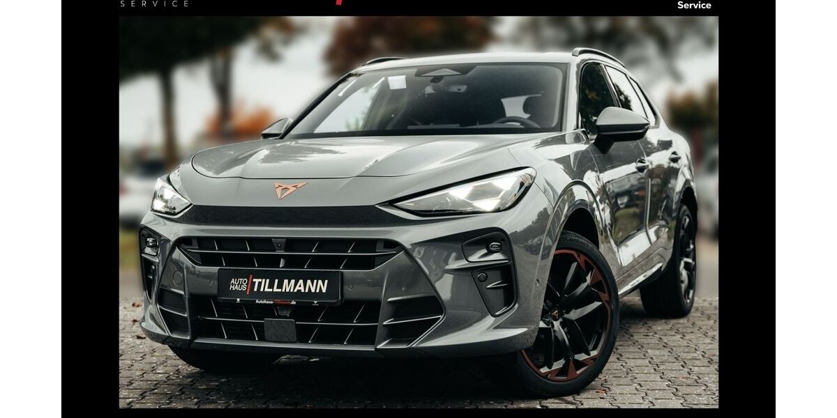 Cupra Terramar 1.065 km 43.990 &euro; Warstein-Belecke 59581