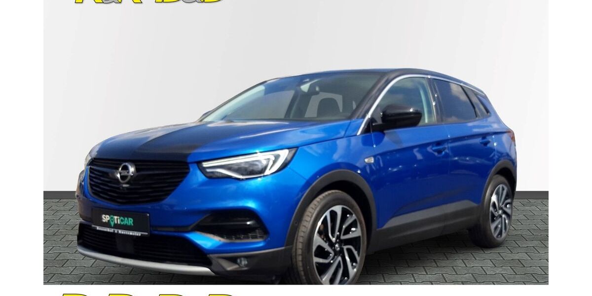 Opel Grandland (X) 130.360 km 17.950 &euro; Soest 59494