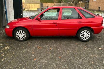 Ford Escort 93.074 km 799 &euro; Gütersloh 33335