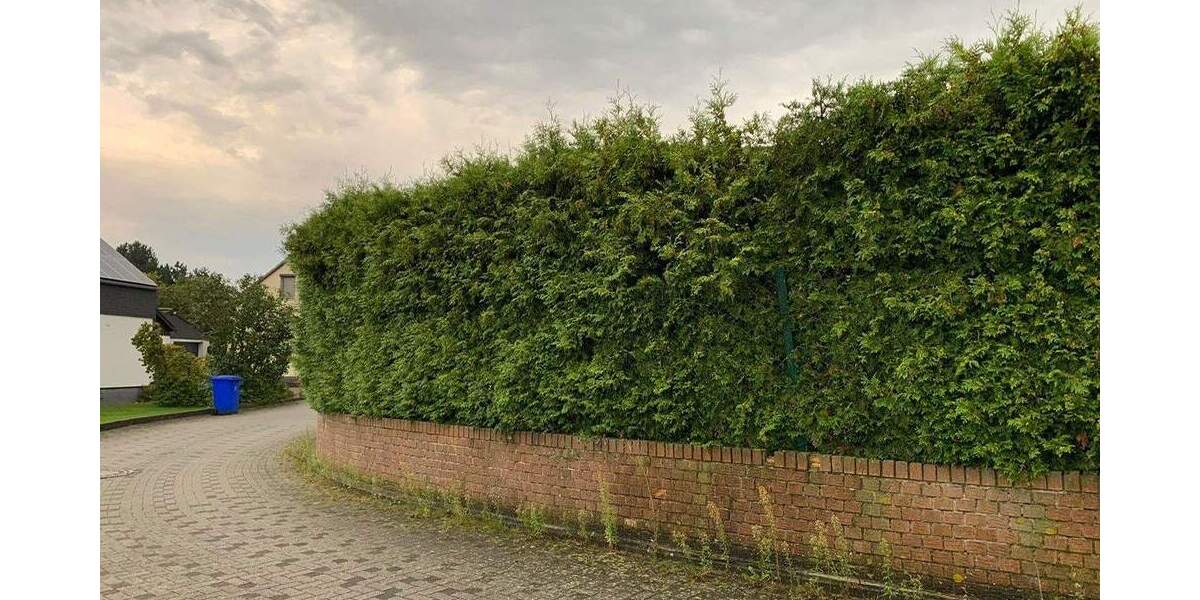 Reihenendhaus Büren - 5 Zimmer, 100 m&sup2;, 233.000&euro; | Angebot:25722288